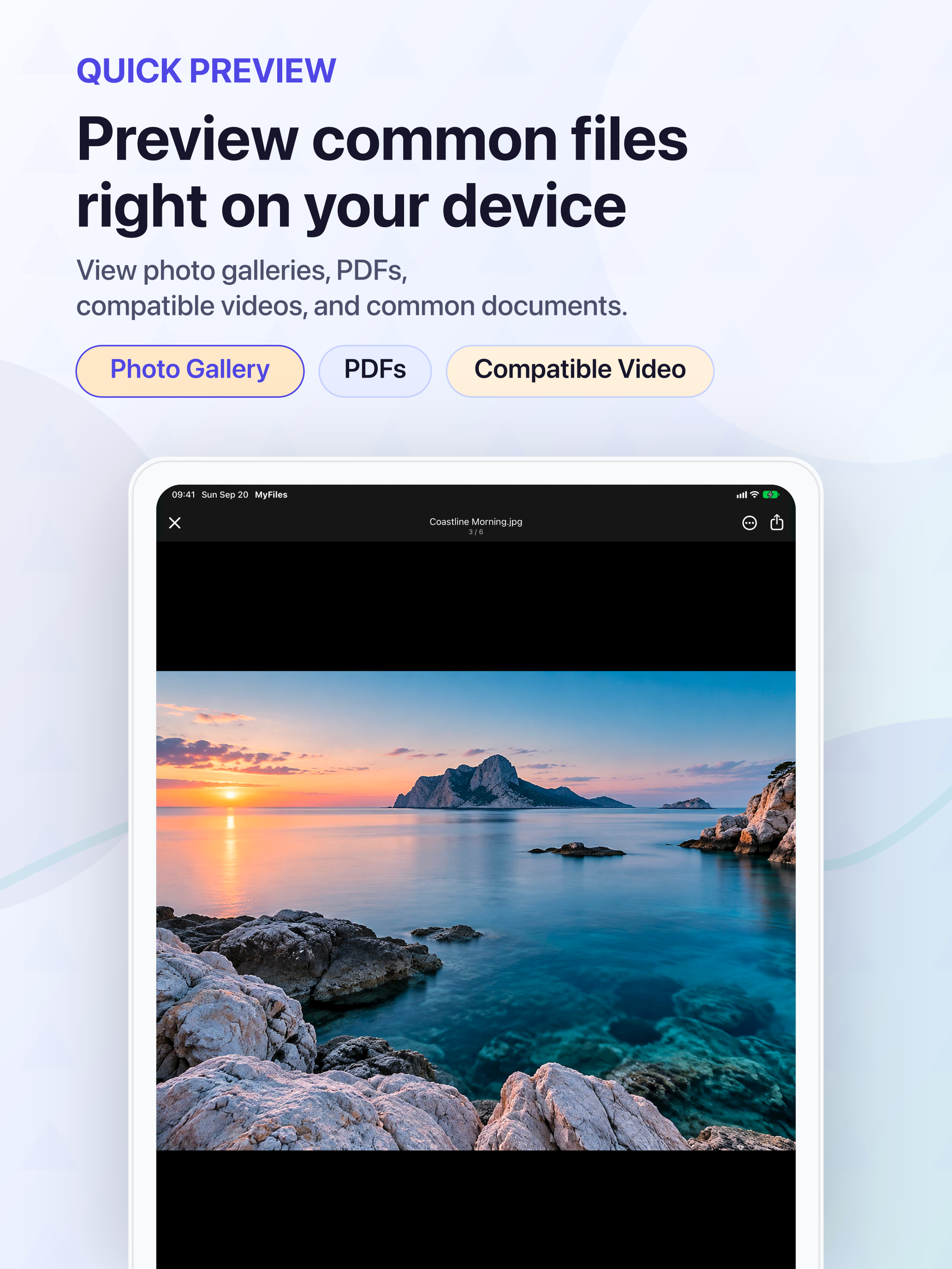 Preview common files on device
